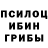 Галлюциногенные грибы Psilocybine cubensis Don Productions
