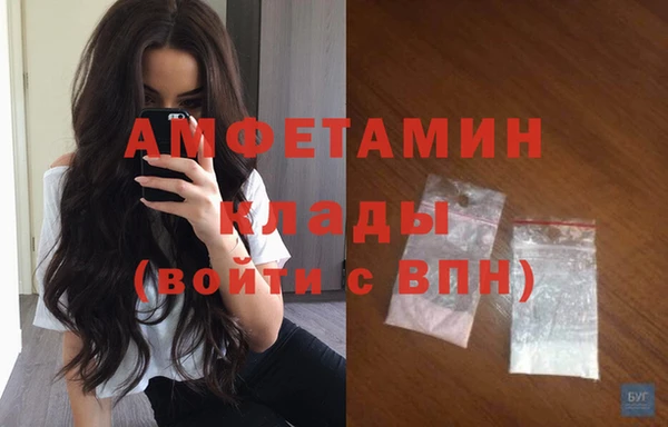 дживик Инта
