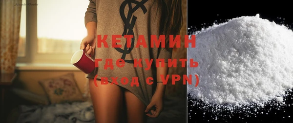 дживик Инта