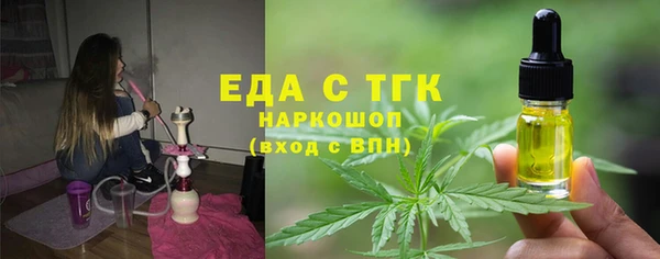 дживик Инта