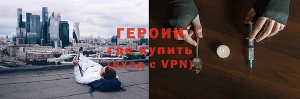 дживик Инта