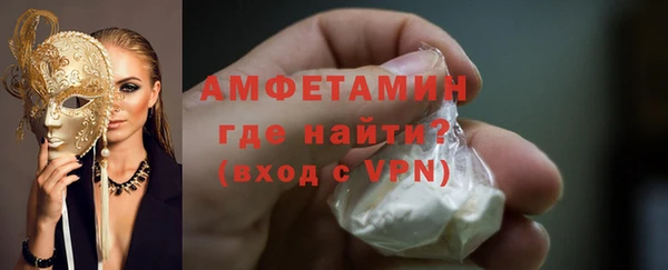 дживик Инта