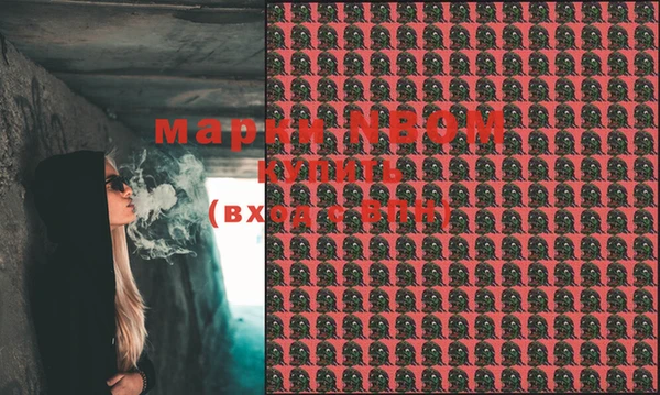 дживик Инта