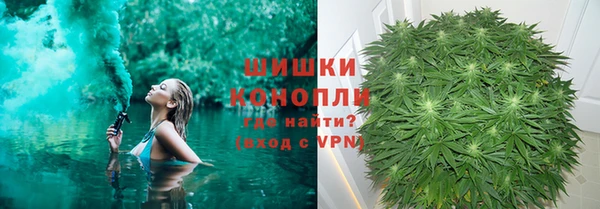 мяу мяу мука Инсар