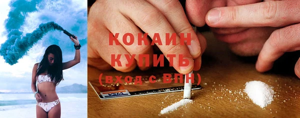 дживик Инта