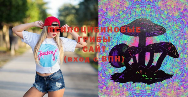 дживик Инта