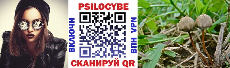 Купить где  Старица  Псилоцибиновые грибы ЛСД 