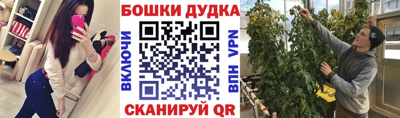Марихуана VHQ  Купить где  Старица 